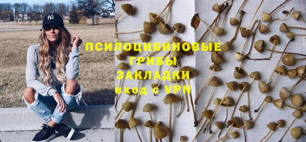дмт Армянск