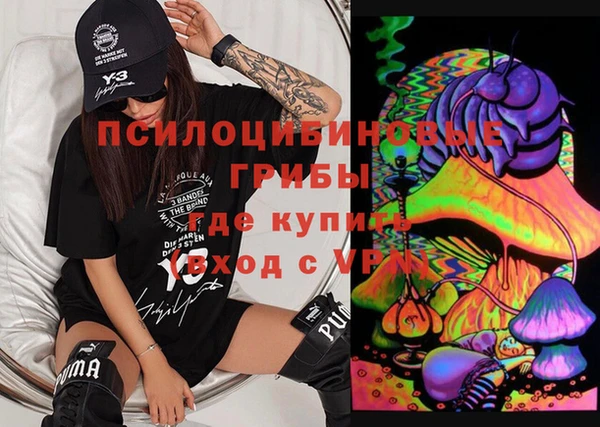 спиды Аркадак